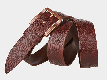 Ремень мужской Alexander TS 40-077